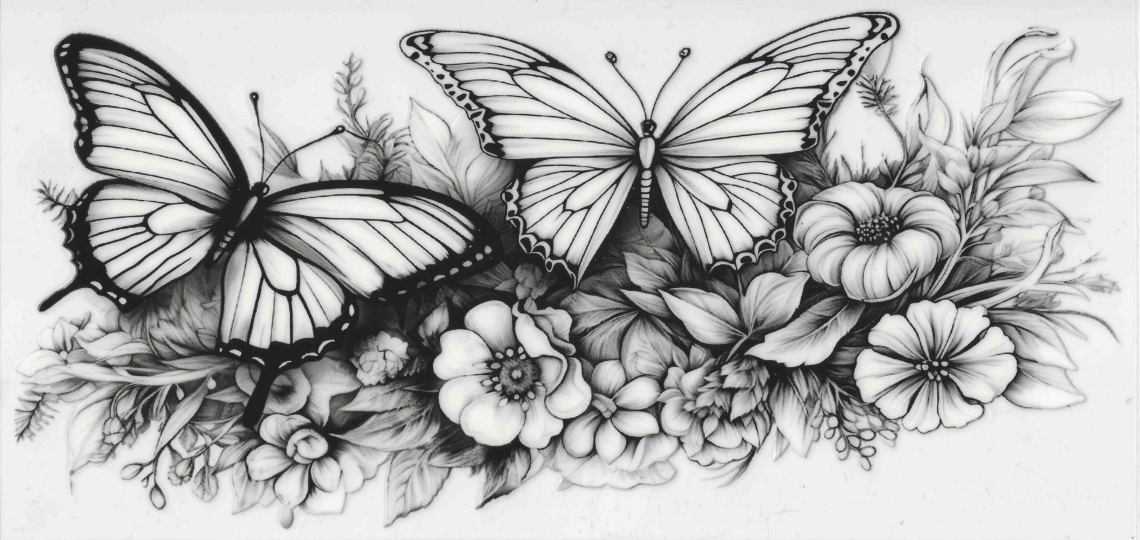 Butterflies #2