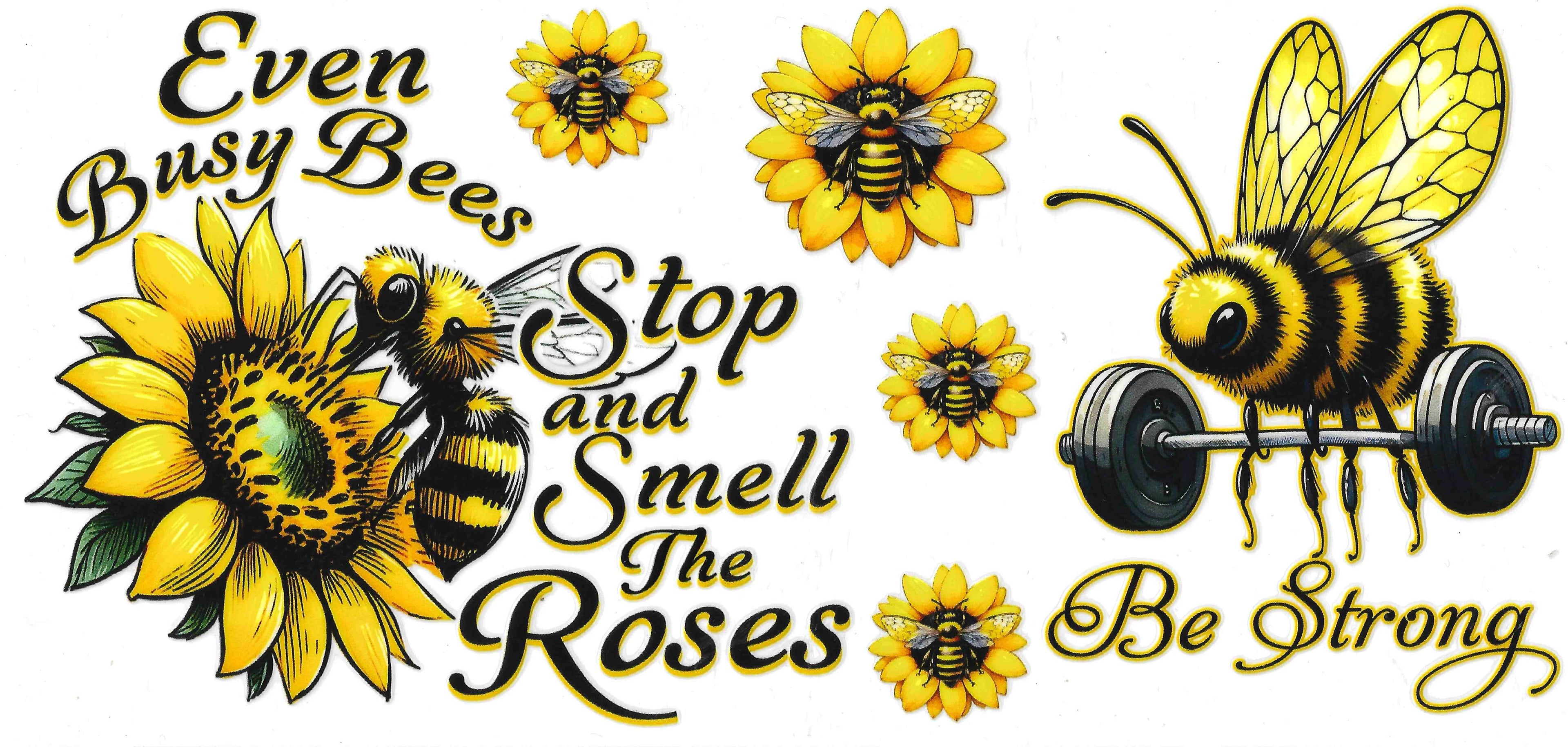 Affirmations-Names #64