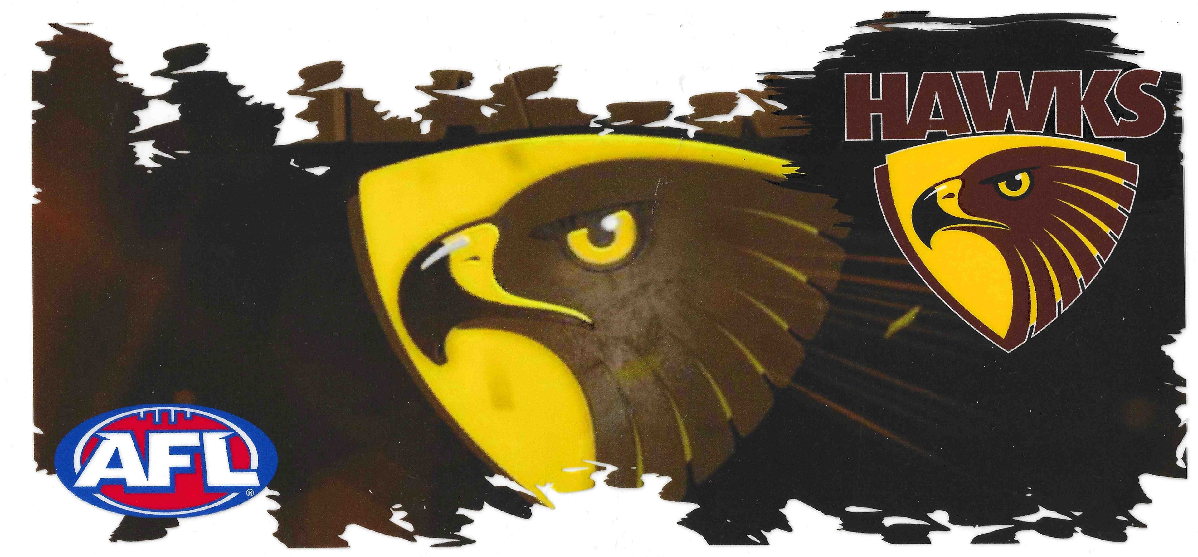 AFL - HAWKS